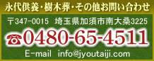 埼玉永代供養の定泰寺